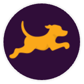 Fetch Rewards